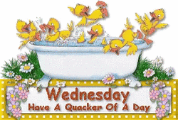 Have A Wonderful Wednesday Little Ducklings GIF