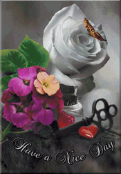 Have A Wonderful Wednesday Mixed Flowers GIF