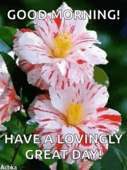 Have A Wonderful Wednesday Red Stained Flowers GIF