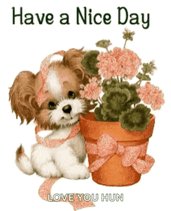 Have A Wonderful Wednesday Shy Puppy GIF
