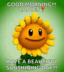 Have A Wonderful Wednesday Sunflower Glow GIF