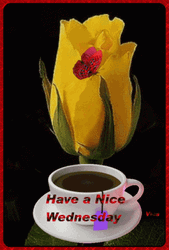Have A Wonderful Wednesday Yellow Tulip GIF
