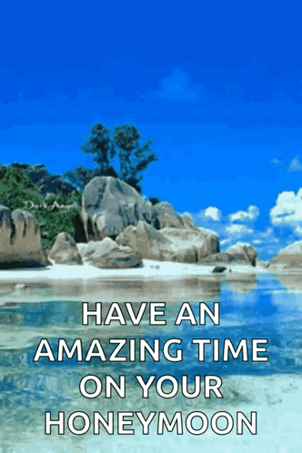 Have An Amazing Time On Your Honeymoon With A Beach Scene GIF