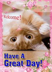 Have An Awesome Day Cat And Flowers GIF