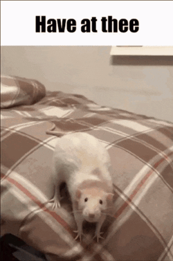 Have At Thee Ratatouille GIF