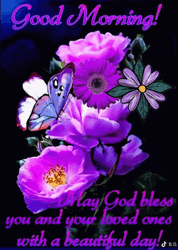 Have Beautiful Day Blessed Good Morning Wednesday GIF
