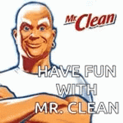 Have Fun With Mr Clean Meme GIF