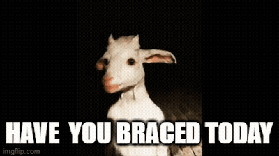 Have You Braced Today Goat GIF