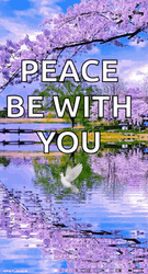 Having A Peaceful Heart With You GIF