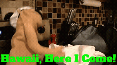 Hawaii Here I Come Written In Green On A Kitchen Scene GIF