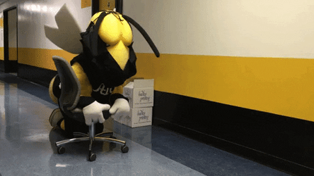 Hawaii Sliding Chair Football Mascot GIF