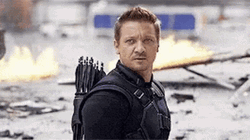 Hawkeye Clint Barton Made You Look GIF