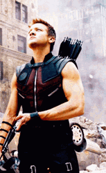 Hawkeye Clint Barton Marvel Avengers GIF