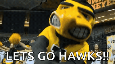 Hawks Mascot Says Let's Go Hawks GIF