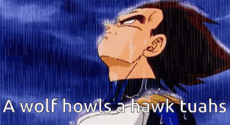 Hawktuah0987654321 GIF
