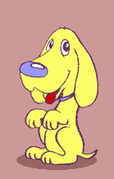 Hazme Caso GIF