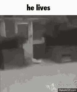 He Lives Kermit GIF