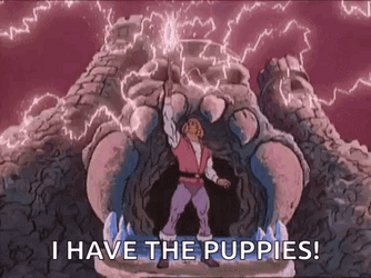 He Man I Have The Power I Have The Puppies GIF