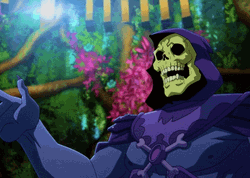 He Man Skeletor Shocked Angry GIF