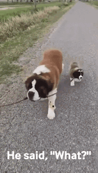 He Said Happy Sisters Day GIF