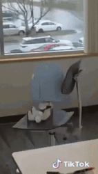 Head Spinning GIF