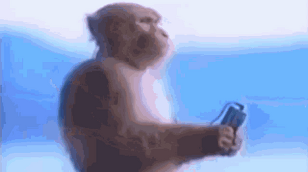 Headphones Monkey Listening Music GIF