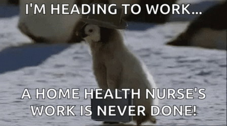 Health Nurse's Working On Sunday GIF