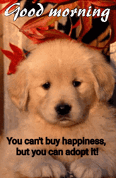 Healthy Cute Good Morning Puppies  GIF