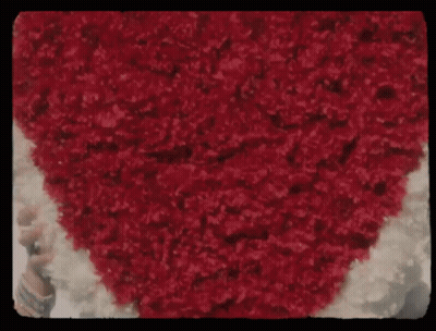 Heart Made Of Red Flowers GIF