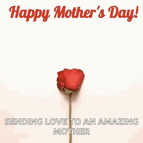 Heart Made Of Rose Petals Happy Mother's Day GIF
