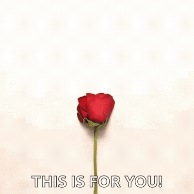 Heart Of Red Rose Petals Saying This Is For You GIF