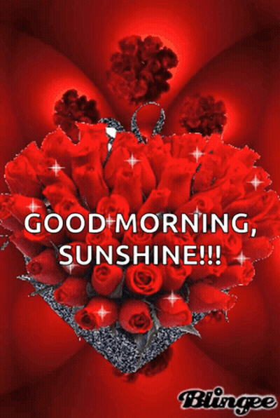 Heart Shaped Bouquet Red Roses Good Morning Sunshine GIF