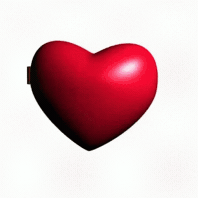 Heart Shaped Mirror With Frog GIF