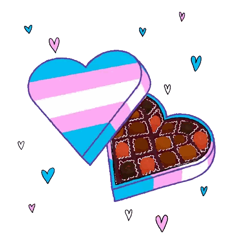 Heart Shaped Transgender Chocolate Box Sticker
