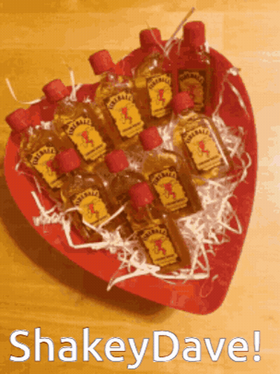 Heart Shaped Tray Filled With Jim Beam Bottles GIF