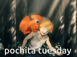 Heartwarming Chainsaw Man Pochita Back Riding Denji GIF