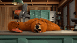 Heat Wave Exhausted Bear Passed Out GIF
