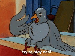 Heat Wave Exhausted Bird Sweating GIF