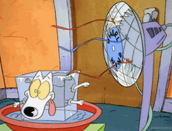 Heat Wave Frozen Rockos Modern Life GIF