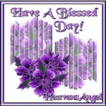 Heavens Angel Have A Blessed Day GIF
