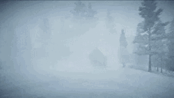 Heavy Blizzard Whiteout Condition Strong Winds GIF