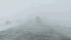 Heavy Blizzard Whiteout Foggy Road GIF