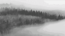 Heavy Fog On The Mountains GIF