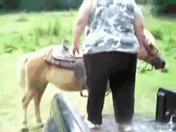 Heavy Woman Getting On Horse