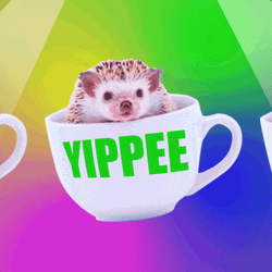 Hedge Hog Coffee Yippee Meme GIF