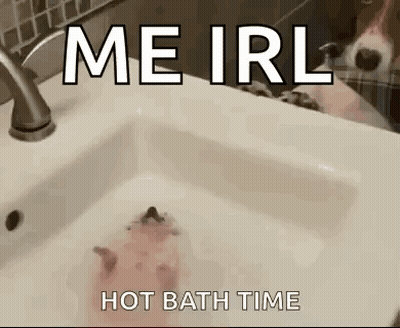 Hedgehog Bathing In Sink Me Irl Hot Bath Time GIF