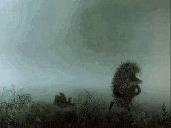 Hedgehog Disappearing In The Fog GIF
