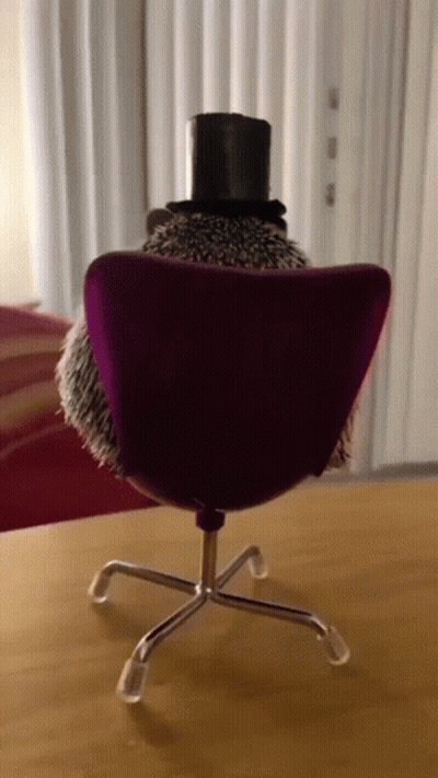 Hedgehog In Top Hat Sitting In Chair GIF