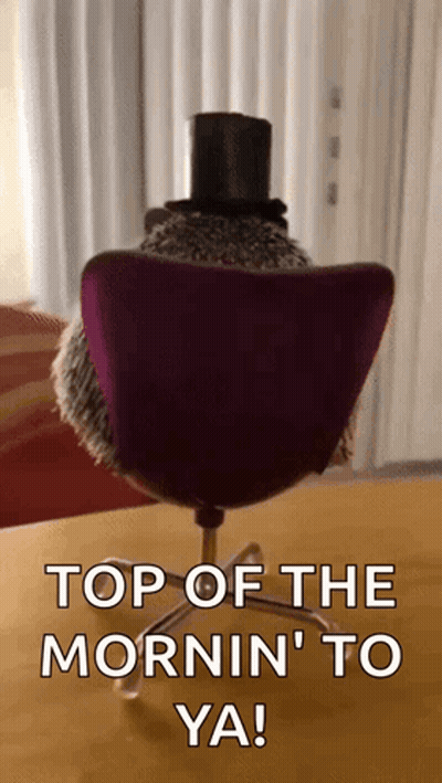 Hedgehog In Top Hat Sitting In Chair GIF