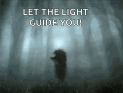 Hedgehog Let The Light Guide You In The Fog GIF